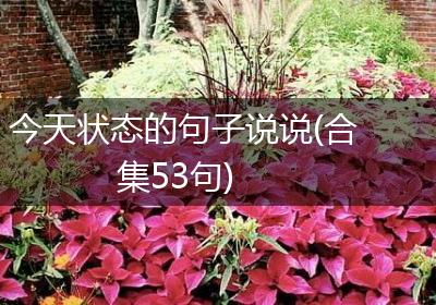 今天状态的句子说说(合集53句)