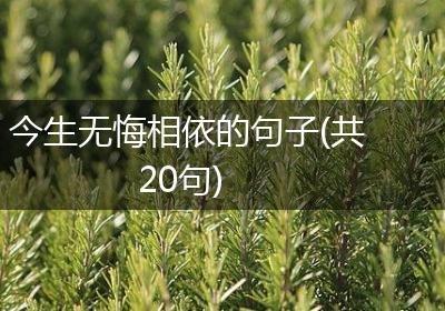 今生无悔相依的句子(共20句)