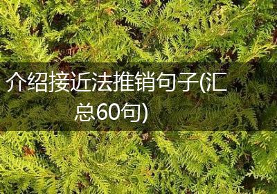 介绍接近法推销句子(汇总60句)