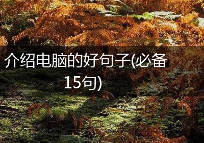 介绍电脑的好句子(必备15句)