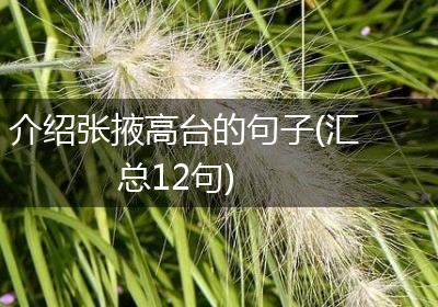 介绍张掖高台的句子(汇总12句)