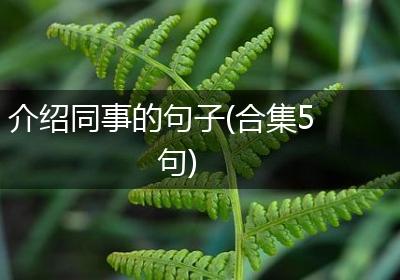 介绍同事的句子(合集5句)