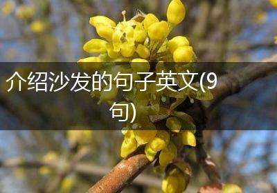 介绍沙发的句子英文(9句)