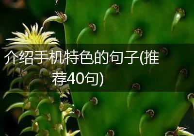 介绍手机特色的句子(推荐40句)