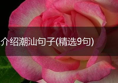 介绍潮汕句子(精选9句)