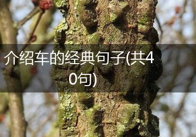 介绍车的经典句子(共40句)