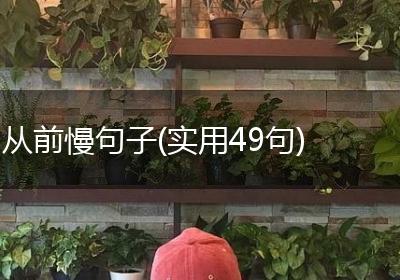 从前慢句子(实用49句)