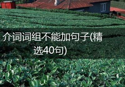 介词词组不能加句子(精选40句)