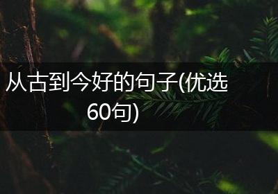 从古到今好的句子(优选60句)