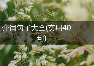 介词句子大全(实用40句)
