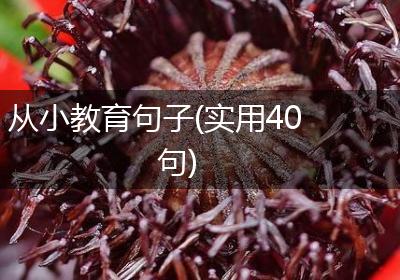 从小教育句子(实用40句)