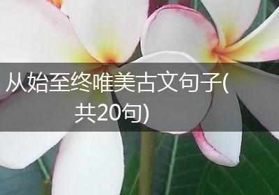 从始至终唯美古文句子(共20句)