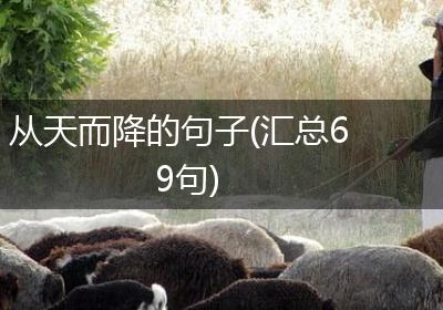 从天而降的句子(汇总69句)