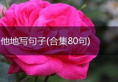他地写句子(合集80句)
