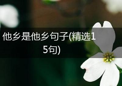 他乡是他乡句子(精选15句)