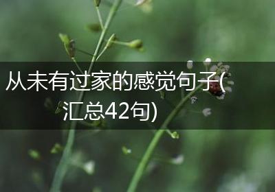 从未有过家的感觉句子(汇总42句)