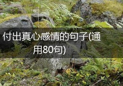付出真心感情的句子(通用80句)