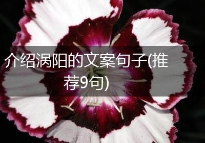介绍涡阳的文案句子(推荐9句)