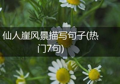 仙人崖风景描写句子(热门7句)