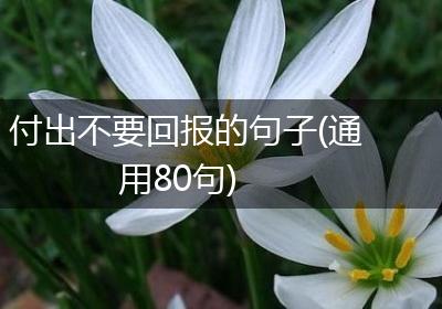 付出不要回报的句子(通用80句)