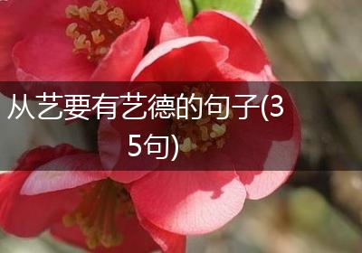 从艺要有艺德的句子(35句)