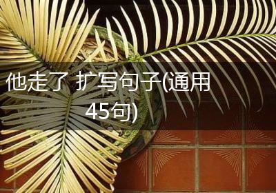 他走了 扩写句子(通用45句)