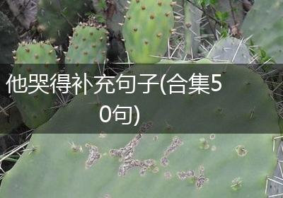 他哭得补充句子(合集50句)