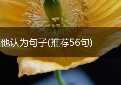 他认为句子(推荐56句)