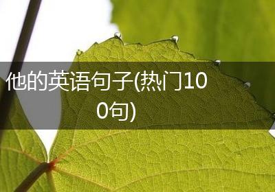 他的英语句子(热门100句)