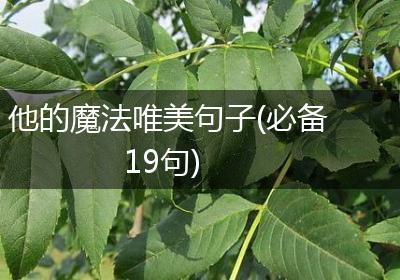 他的魔法唯美句子(必备19句)