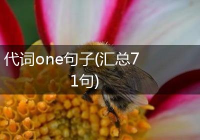 代词one句子(汇总71句)