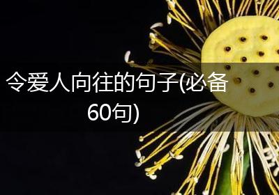 令爱人向往的句子(必备60句)