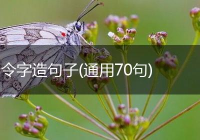 令字造句子(通用70句)