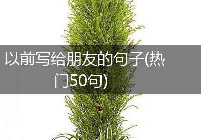 以前写给朋友的句子(热门50句)