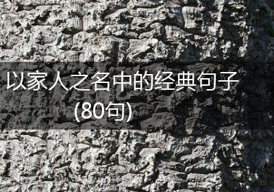 以家人之名中的经典句子(80句)