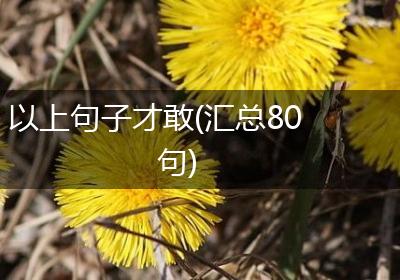 以上句子才敢(汇总80句)