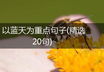 以蓝天为重点句子(精选20句)