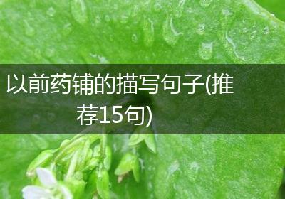 以前药铺的描写句子(推荐15句)