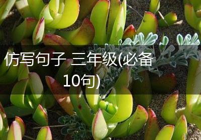 仿写句子 三年级(必备10句)