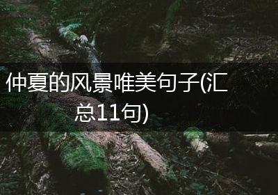 仲夏的风景唯美句子(汇总11句)
