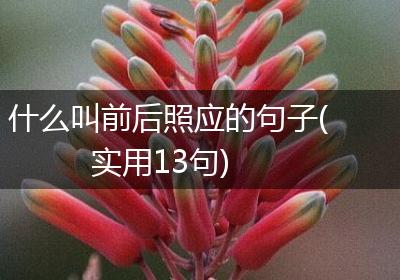什么叫前后照应的句子(实用13句)