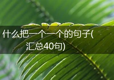 什么把一个一个的句子(汇总40句)
