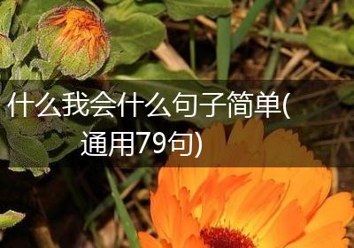 什么我会什么句子简单(通用79句)