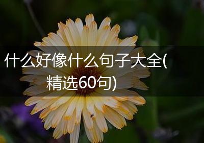 什么好像什么句子大全(精选60句)