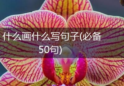 什么画什么写句子(必备50句)