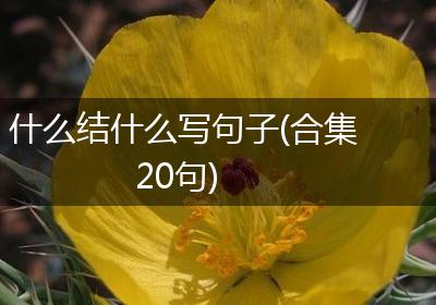 什么结什么写句子(合集20句)
