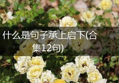 什么是句子承上启下(合集12句)