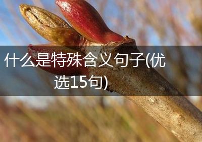 什么是特殊含义句子(优选15句)