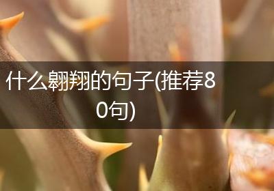 什么翱翔的句子(推荐80句)