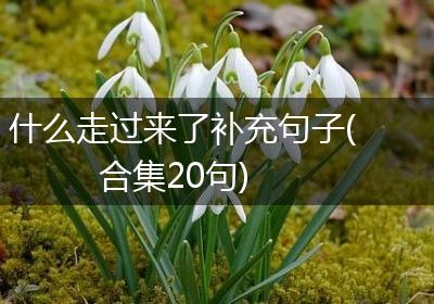 什么走过来了补充句子(合集20句)